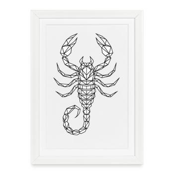 Scorpion - Affiche encadrée (27 × 37 cm) - blanc - Devant