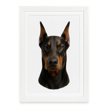 Doberman Head Portrait - Framed poster (27 × 37 cm) - white - Front