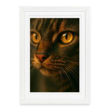 Cat Eyes Close Up - Framed poster (27 × 37 cm) - white - Front