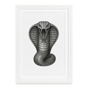 Illustration de lignes de graphite Cobra - Affiche encadrée (27 × 37 cm) - blanc - Devant