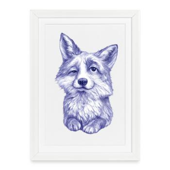 Sketch du Renard bleu-violet - Affiche encadrée (27 × 37 cm) - blanc - Devant