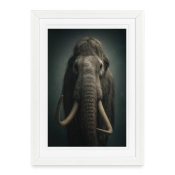 Nocturnal Ivory Elephant - Framed poster (27 × 37 cm) - white - Front