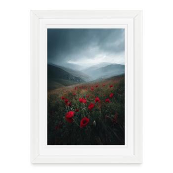 Red Poppy Ridge in Mist - Framed poster (27 × 37 cm) - white - Front
