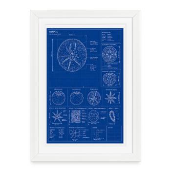 Tomato Blueprint Diagram - Framed poster (27 × 37 cm) - white - Front