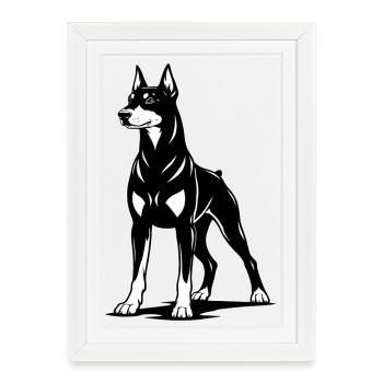 Doberman debout en noir et blanc - Affiche encadrée (27 × 37 cm) - blanc - Devant