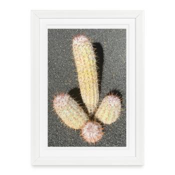 Cactus pastel dans la lumière du désert - Affiche encadrée (27 × 37 cm) - blanc - Devant