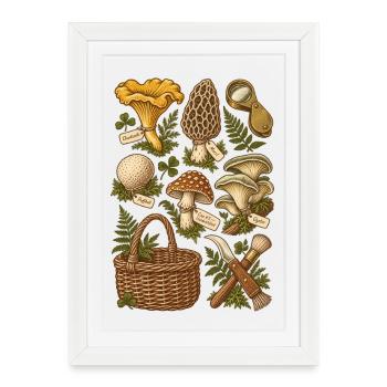 Mushrooms in the forest – botanical illustration - Framed poster (27 × 37 cm) - white - Front