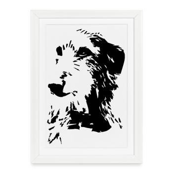 Tête écossaise de Deerhound - Affiche encadrée (27 × 37 cm) - blanc - Devant