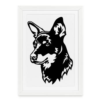 Tête de talon du Lancashire - Affiche encadrée (27 × 37 cm) - blanc - Devant