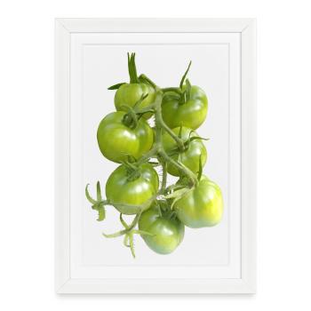 Tomates vertes sur la vigne - Affiche encadrée (27 × 37 cm) - blanc - Devant