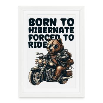 BEAR ON WHEELS : NÉ POUR HIBERNER FORCÉ DE ROULER - Affiche encadrée (27 × 37 cm) - blanc - Devant