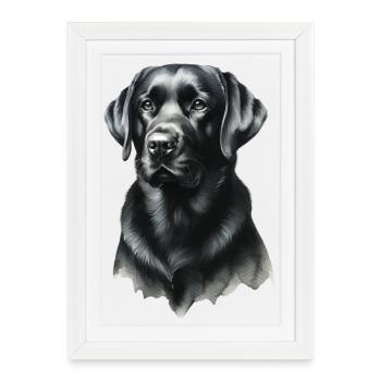 Noble Noir Labrador Portrait Labrador - Affiche encadrée (27 × 37 cm) - blanc - Devant