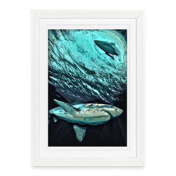 Turquoise Underwater Shark Dynamics - Framed poster (27 × 37 cm) - white - Front