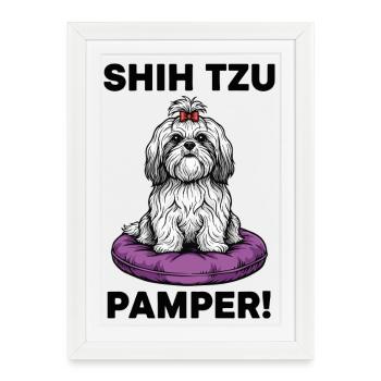 Chien Shih Tzu Pamper Coussin Luxe - Affiche encadrée (27 × 37 cm) - blanc - Devant
