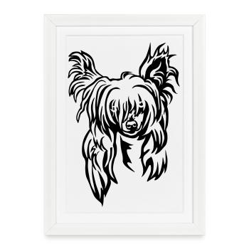 Chinese Crested Head - Framed poster (27 × 37 cm) - white - Front