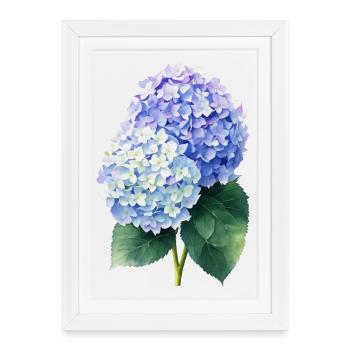 Hortensia - Affiche encadrée (27 × 37 cm) - blanc - Devant