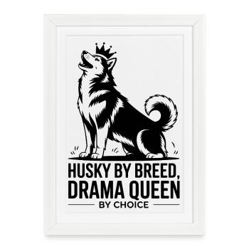 Husky Drama Queen Funny Dog Lover  - Framed poster (27 × 37 cm) - white - Front