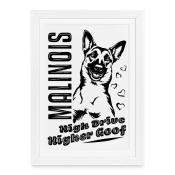 Belgian Malinois High Drive Higher Goof - Framed poster (27 × 37 cm) - white - Front
