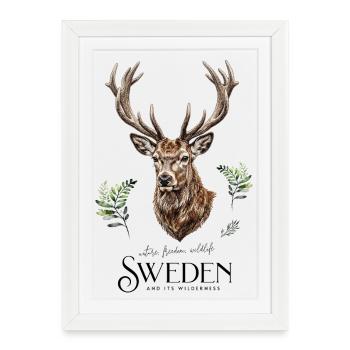 Deer head in the forest of Sweden's wilderness - Framed poster (27 × 37 cm) - white - Front