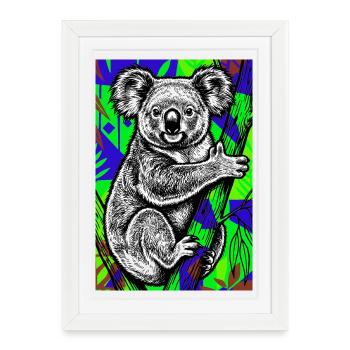 Koala - Affiche encadrée (27 × 37 cm) - blanc - Devant