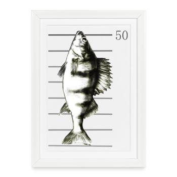 Pêche à la perche - Affiche encadrée (27 × 37 cm) - blanc - Devant