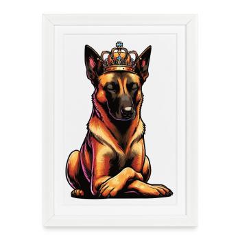 Malinois Belgian Shepherd Malinois Owner - Framed poster (27 × 37 cm) - white - Front