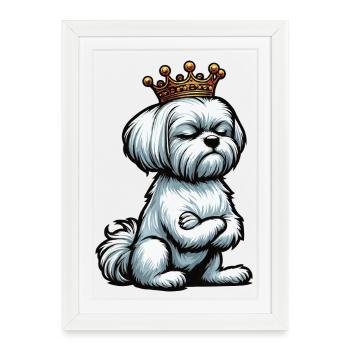 Malteser Maltese Owner Maltese Lovers - Framed poster (27 × 37 cm) - white - Front