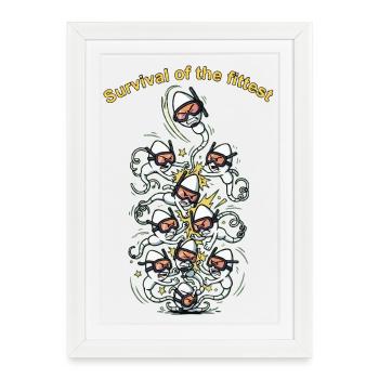 Survivance du spermatozoïde le plus apte - Affiche encadrée (27 × 37 cm) - blanc - Devant