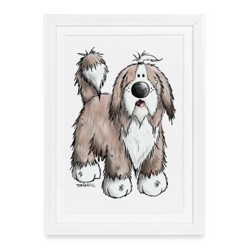 The Bearded Collie - Framed poster (27 × 37 cm) - white - Front
