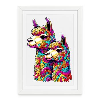 Alpaga - Affiche encadrée (27 × 37 cm) - blanc - Devant