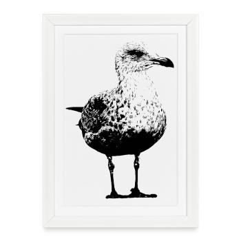 Mouette - Affiche encadrée (27 × 37 cm) - blanc - Devant