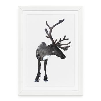 renne - Affiche encadrée (27 × 37 cm) - blanc - Devant