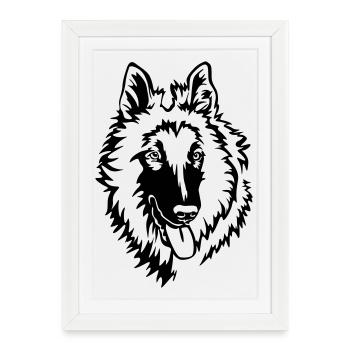 Tervueren tête - Affiche encadrée (27 × 37 cm) - blanc - Devant