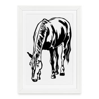 Cheval herbeux - Affiche encadrée (27 × 37 cm) - blanc - Devant