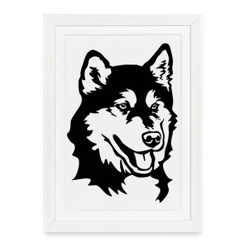 Tête de Malamute d’Alaska - Affiche encadrée (27 × 37 cm) - blanc - Devant