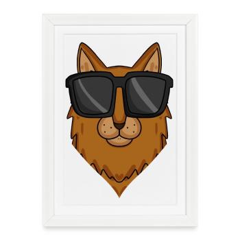 Chat cool avec des lunettes de soleil - race de chat somalien - Affiche encadrée (27 × 37 cm) - blanc - Devant