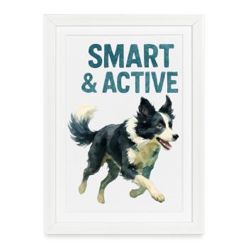 Chien Border Collie - Affiche encadrée (27 × 37 cm) - blanc - Devant