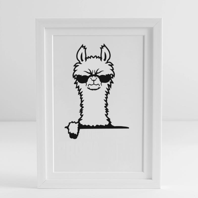 I Identify As A Probllama Cool Lama Problem Spruch Gerahmtes Poster (27 × 37 cm)