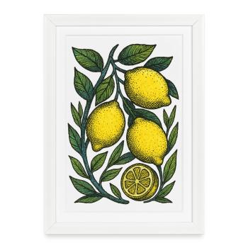 Estampe botanique Lemon Branch - Affiche encadrée (27 × 37 cm) - blanc - Devant