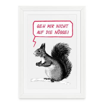 Geh mir nicht auf die Nüsse - Gerahmtes Poster (27 × 37 cm) - Weiß - Vorne