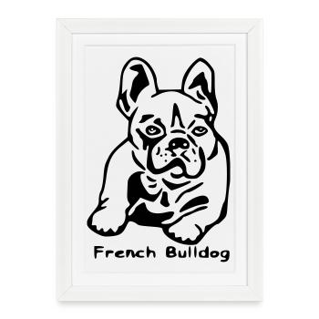 Français Bulldog français Bulldog - Affiche encadrée (27 × 37 cm) - blanc - Devant