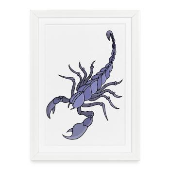 scorpion - Affiche encadrée (27 × 37 cm) - blanc - Devant