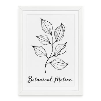 Mouvement botanique – Mouvement de la nature - Affiche encadrée (27 × 37 cm) - blanc - Devant