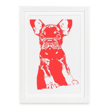 Bouledogue - Affiche encadrée (27 × 37 cm) - blanc - Devant