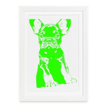 Bouledogue - Affiche encadrée (27 × 37 cm) - blanc - Devant