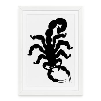 scorpion - Affiche encadrée (27 × 37 cm) - blanc - Devant