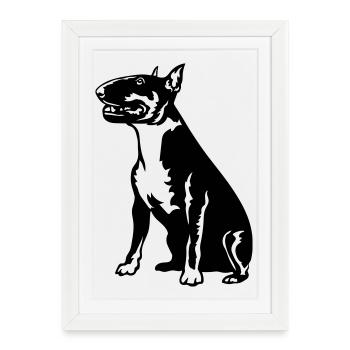 Bull terrier - Affiche encadrée (27 × 37 cm) - blanc - Devant