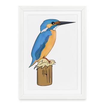 Martin-pêcheur - Affiche encadrée (27 × 37 cm) - blanc - Devant