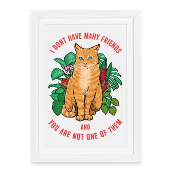 Cat Not Friendly - Framed poster (27 × 37 cm) - white - Front