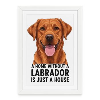 Motif animalier amusant avec un dicton Labrador - Affiche encadrée (27 × 37 cm) - blanc - Devant